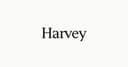 Harvey.ai
